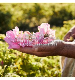 Aqua Allegoria Harvest - Rosa Rossa - Eau de Toilette Aqua Allegoria Harvest - Rosa Rossa - Eau de Toilette
